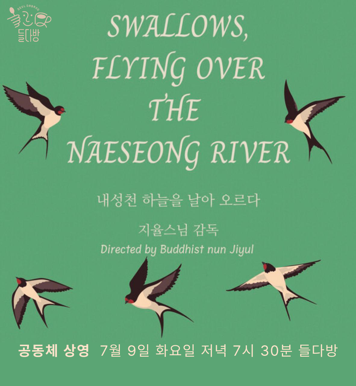 영화 상영 포스터. 제비들이 날아다니는 그림을 배경으로 제목 'Swallows, flying over the Naeseong river. 내성천 하늘을 날아 오르다. 지율스님 감독.